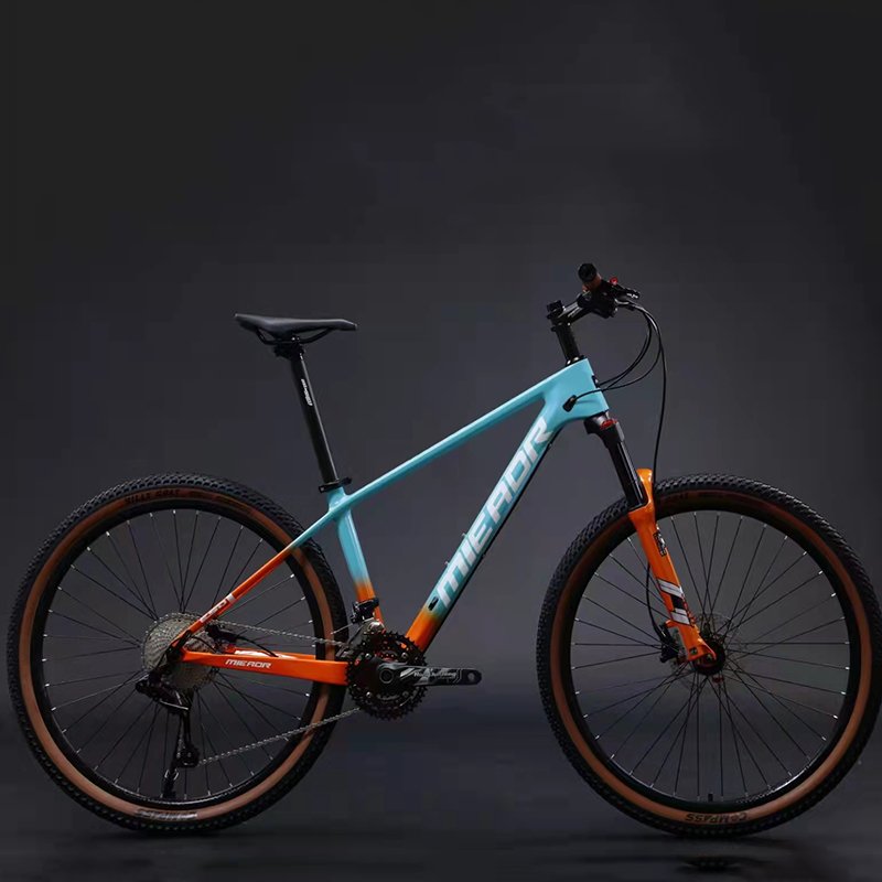 In cheapest 21 speed china cycle for men with gear and disk brake 21 gear mountain bike Cycle for man