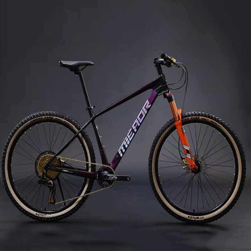 In cheapest 21 speed china cycle for men with gear and disk brake 21 gear mountain bike Cycle for man