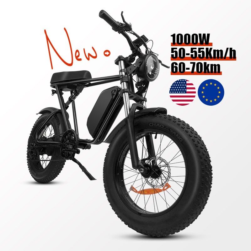 Direct Shipping from EU & USA Warehouse 1000W Electric Motorcycle 17.5Ah Battery Maximum Speed 55KM/H 48V Electric Mountain Bike