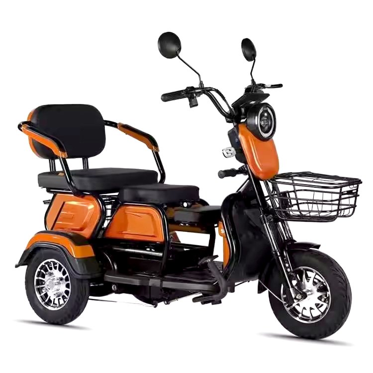 2024 China New Model 48V Electric Tricycle Convenient Elderly Passenger Cargo Transport Lithium Tube Electronic City Bike