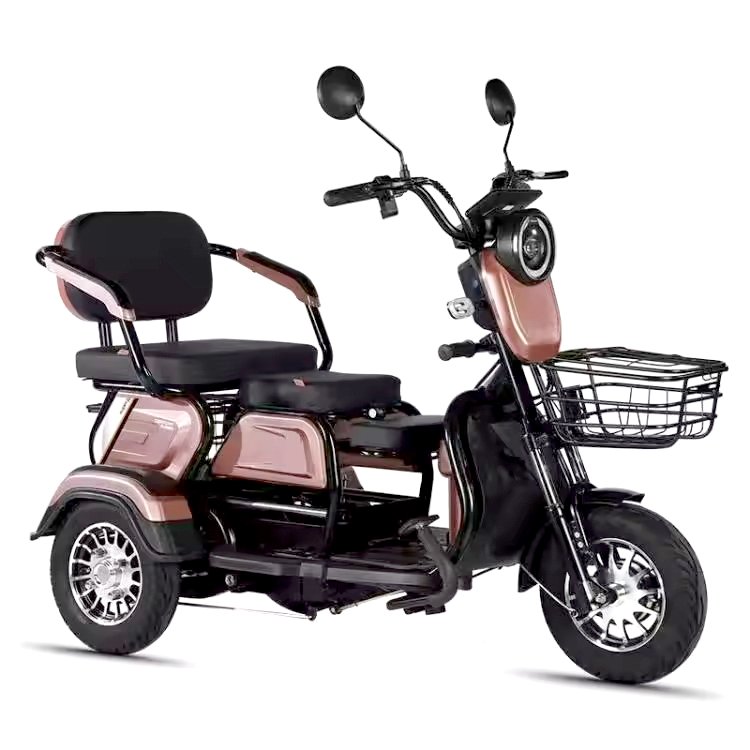 2024 China New Model 48V Electric Tricycle Convenient Elderly Passenger Cargo Transport Lithium Tube Electronic City Bike