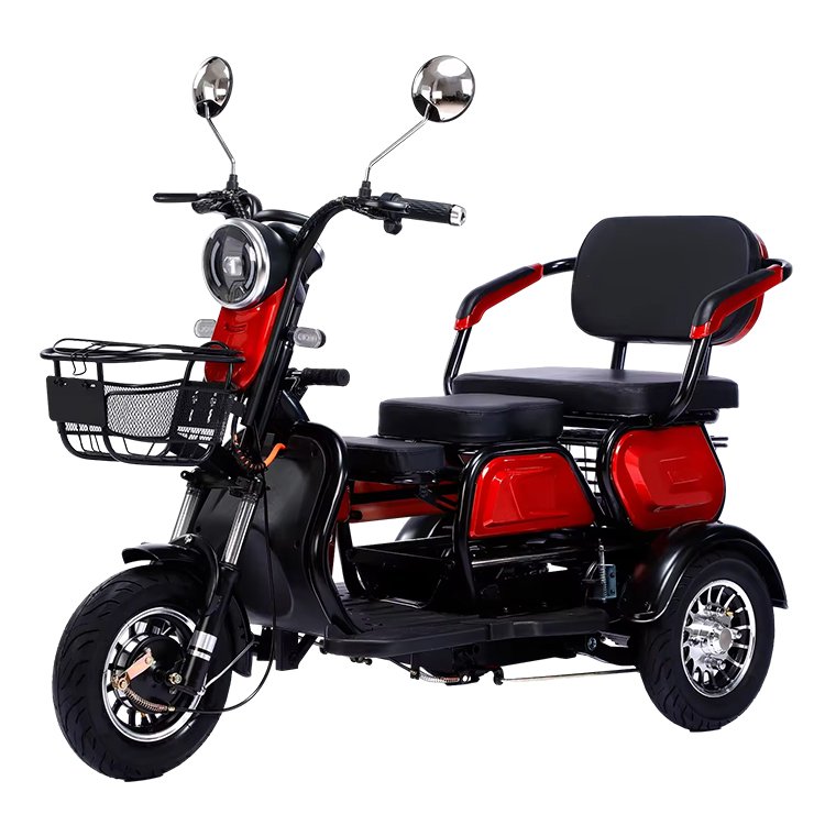 2024 China New Model 48V Electric Tricycle Convenient Elderly Passenger Cargo Transport Lithium Tube Electronic City Bike