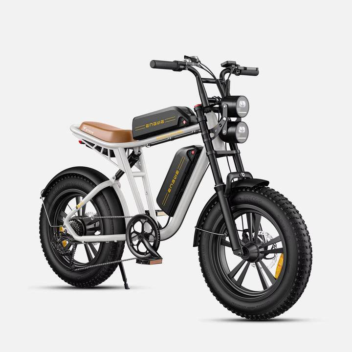 Electric Bike 750W 48V13AH Battery Electric Mountain Bicycle 20 Inch Off-Road Tyre Mens Ebike For Adults