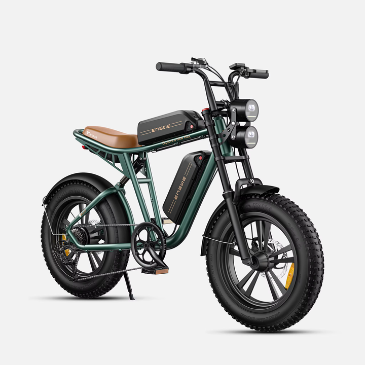 Electric Bike 750W 48V13AH Battery Electric Mountain Bicycle 20 Inch Off-Road Tyre Mens Ebike For Adults