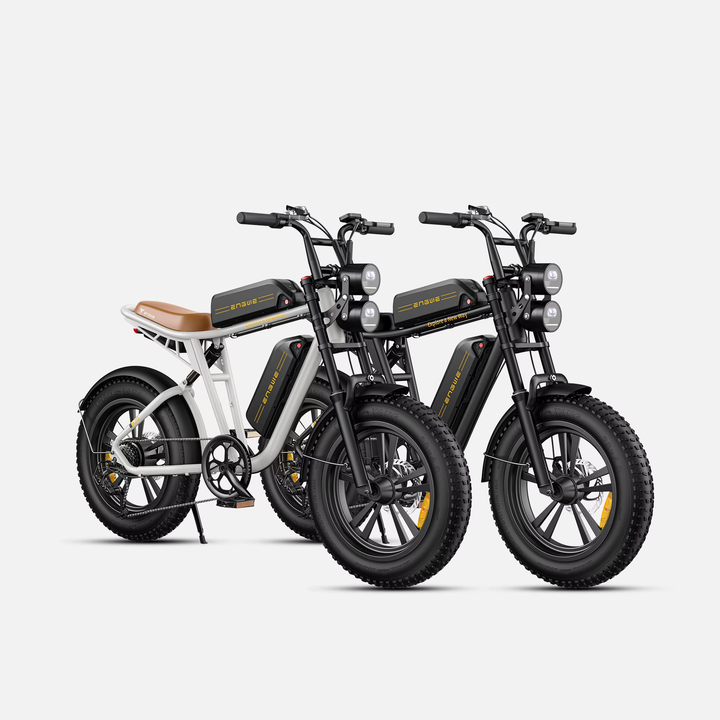 Electric Bike 750W 48V13AH Battery Electric Mountain Bicycle 20 Inch Off-Road Tyre Mens Ebike For Adults