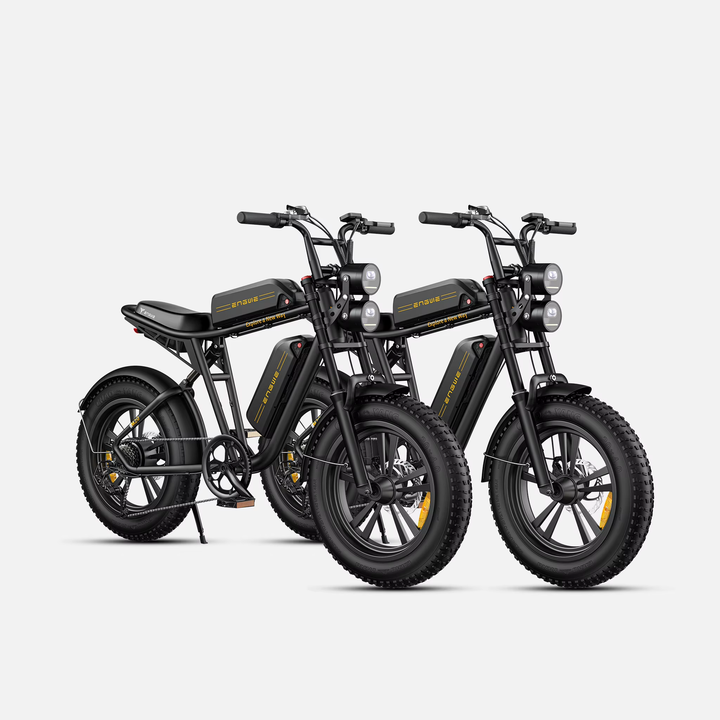 Electric Bike 750W 48V13AH Battery Electric Mountain Bicycle 20 Inch Off-Road Tyre Mens Ebike For Adults
