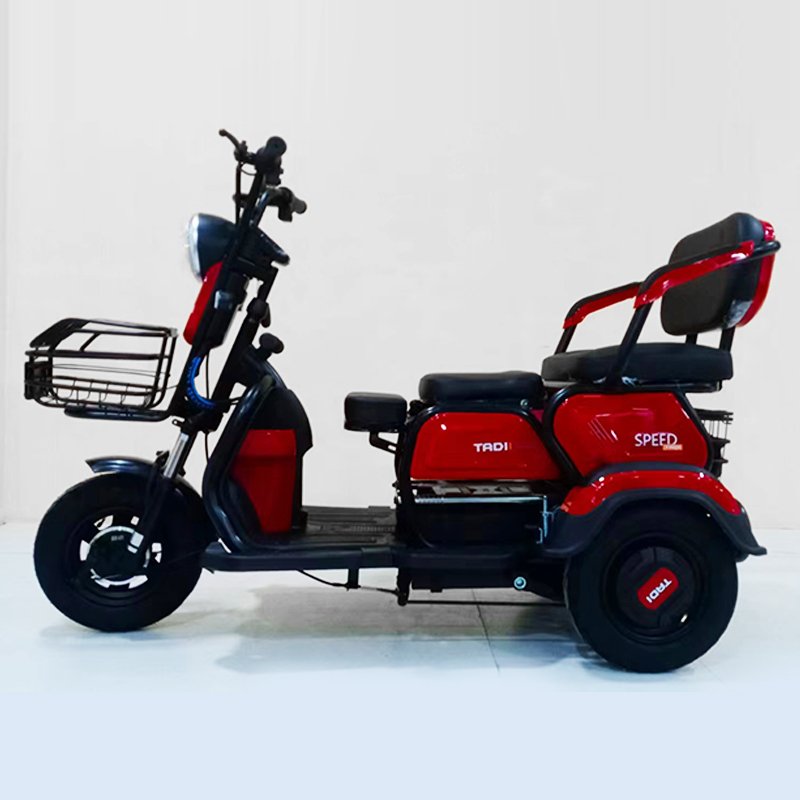 Three Wheels Cargo Electric Tricycle Motorcycle Mobility Scooter ebike 3 wheels electric bike