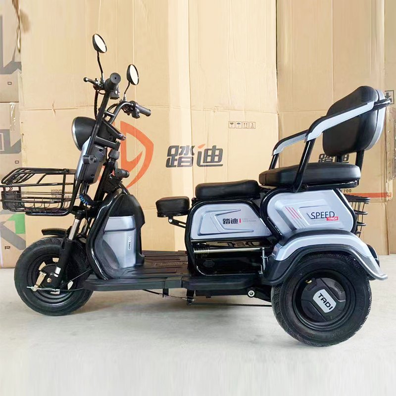Three Wheels Cargo Electric Tricycle Motorcycle Mobility Scooter ebike 3 wheels electric bike