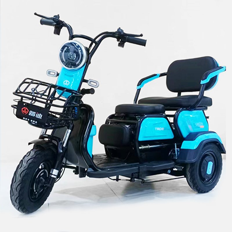 Three Wheels Cargo Electric Tricycle Motorcycle Mobility Scooter ebike 3 wheels electric bike