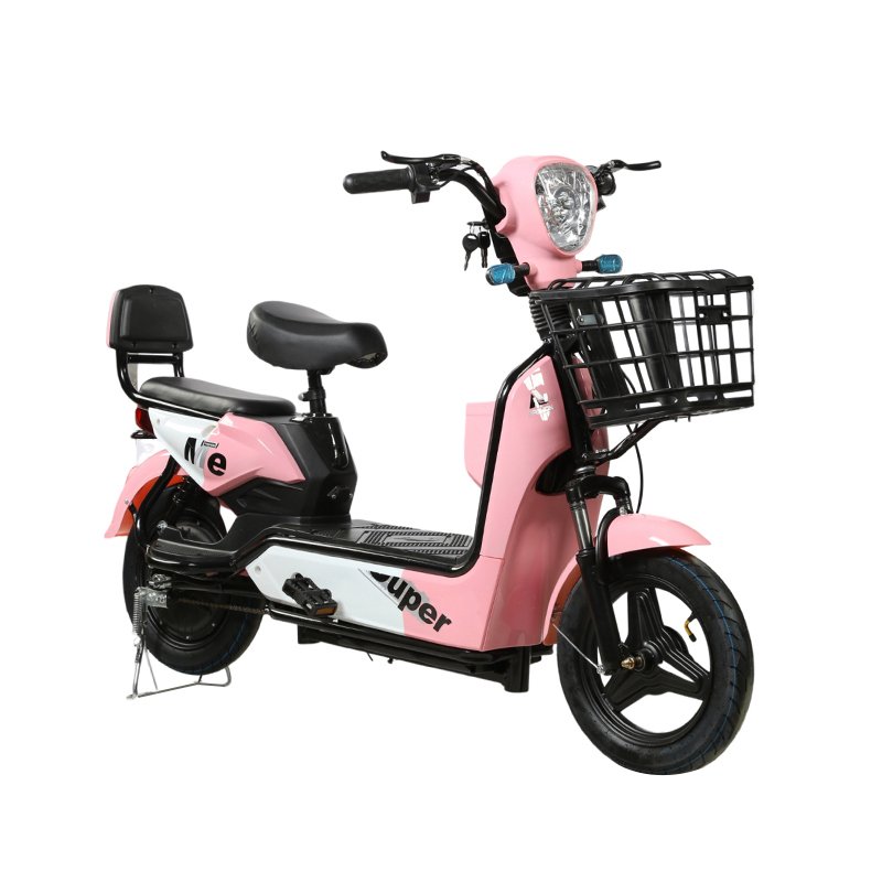 Factory price cheaper 48 volt 350W fashion novel electric bicycle electric adult bicycle electric bicycle