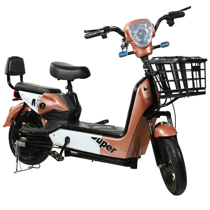 Factory price cheaper 48 volt 350W fashion novel electric bicycle electric adult bicycle electric bicycle