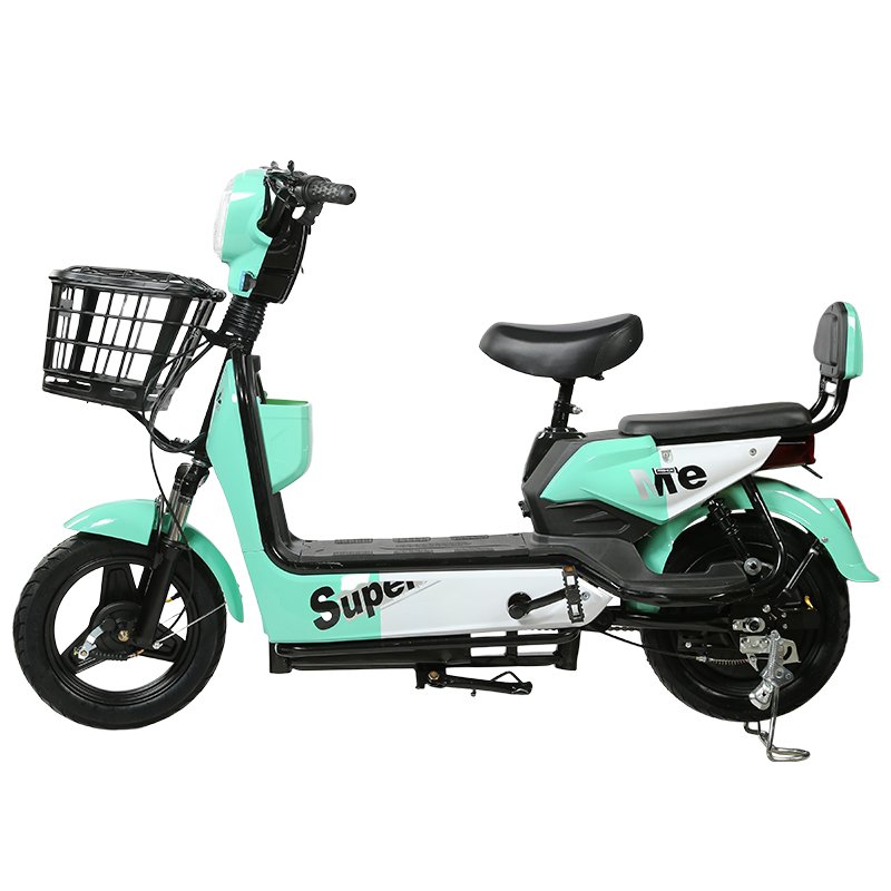 Factory price cheaper 48 volt 350W fashion novel electric bicycle electric adult bicycle electric bicycle