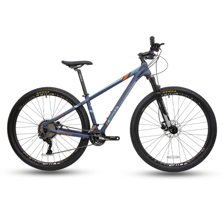 Mountain bike Aluminium alloy Mountain bicycle 29 inch 20 speed Mountain bike