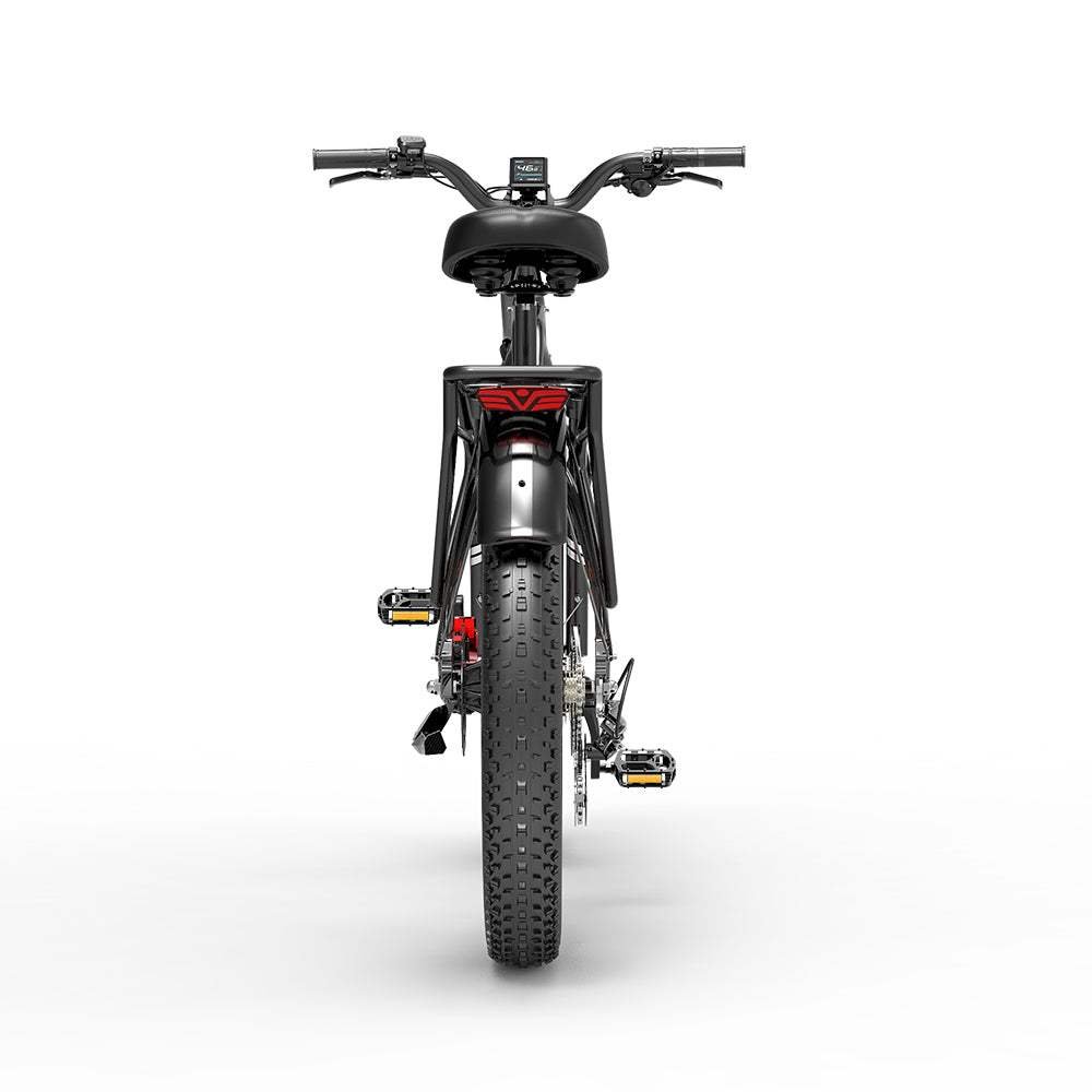Dukawey DM530 plus 1000W electric bike 26 inches fat bike 52V 20Ah electric mountain bike emtb