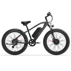 1000W*2 48V20Ah