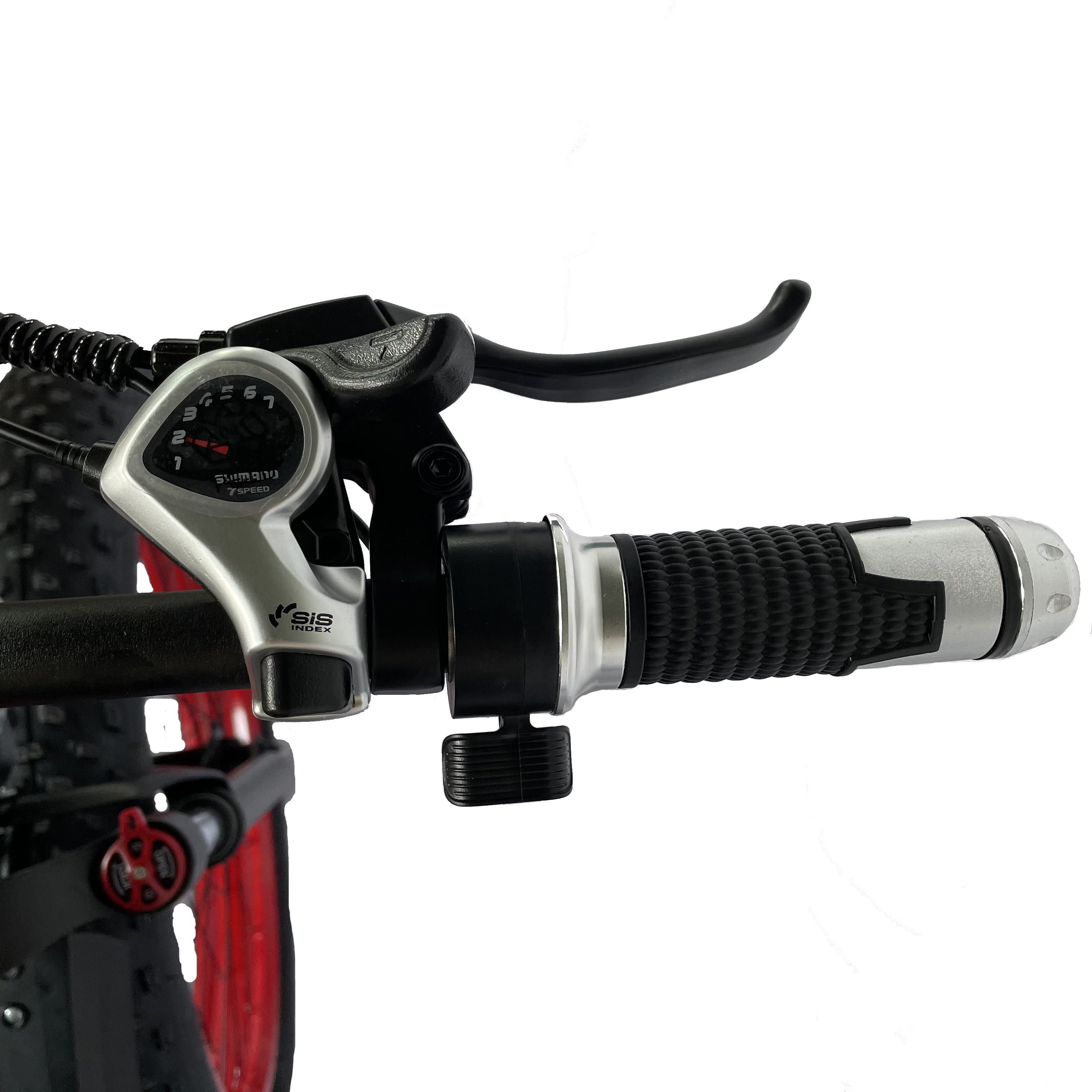 Hot Selling Dual Suspension Mountain Bike with Shock Absorption, 48V10.5Ah Lithium Battery Adult Electric Bike