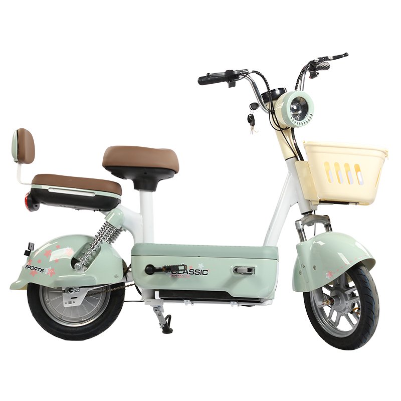 Two wheeled electric vehicle 48V350W electric motorcycle electric bicycle