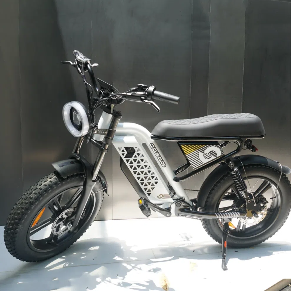 20 inch 48V 750w Electric City Bike for Sale Stylish Functional Electric Bicycle, Ideal for Urban Commuting and Leisure Rides