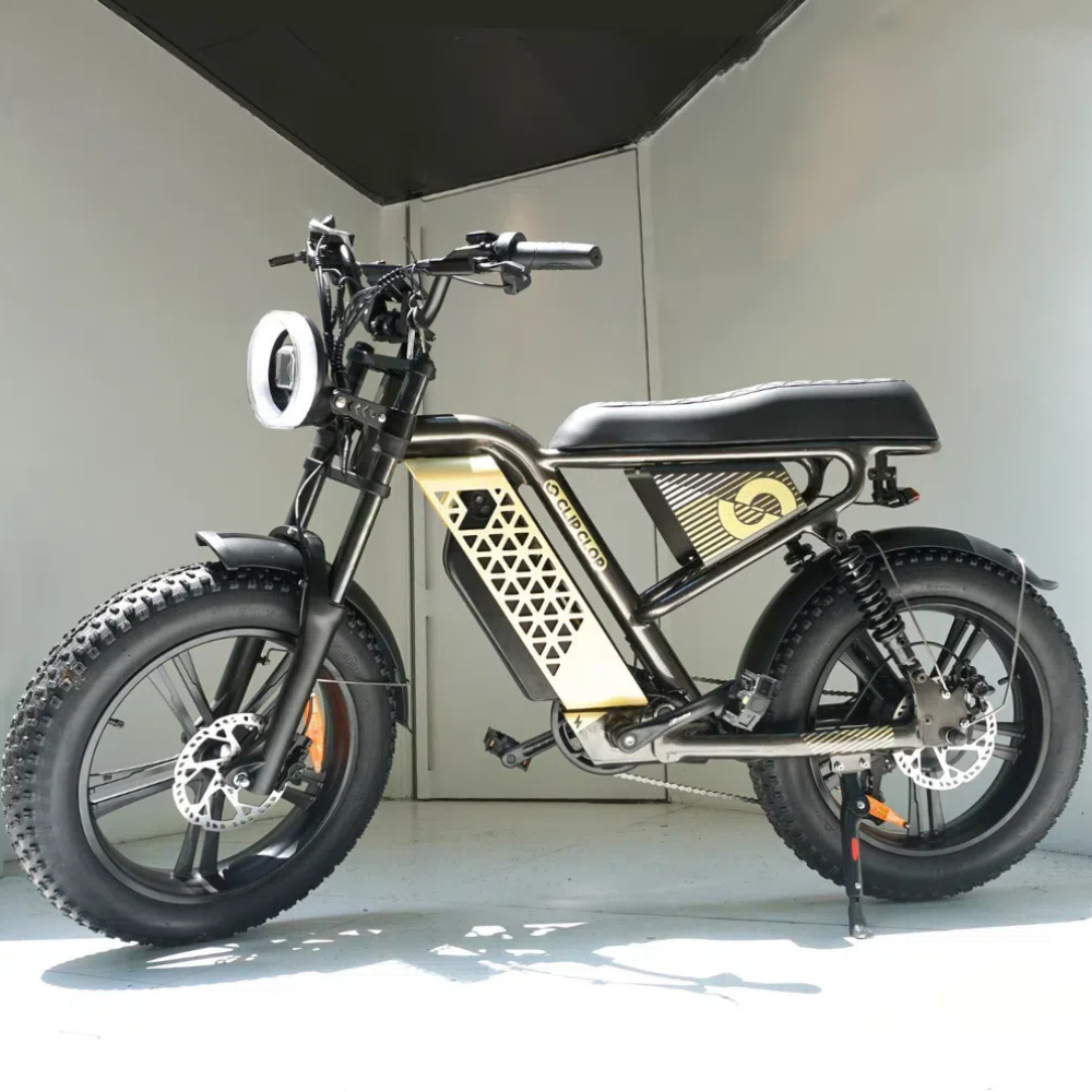20 inch 48V 750w Electric City Bike for Sale Stylish Functional Electric Bicycle, Ideal for Urban Commuting and Leisure Rides