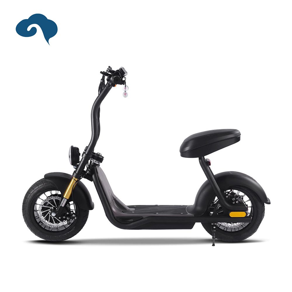 Mini 1000W Electric City Bike Smart 48V Sensor Technology with Steel Frame and Lithium Battery Power Supply for Adults