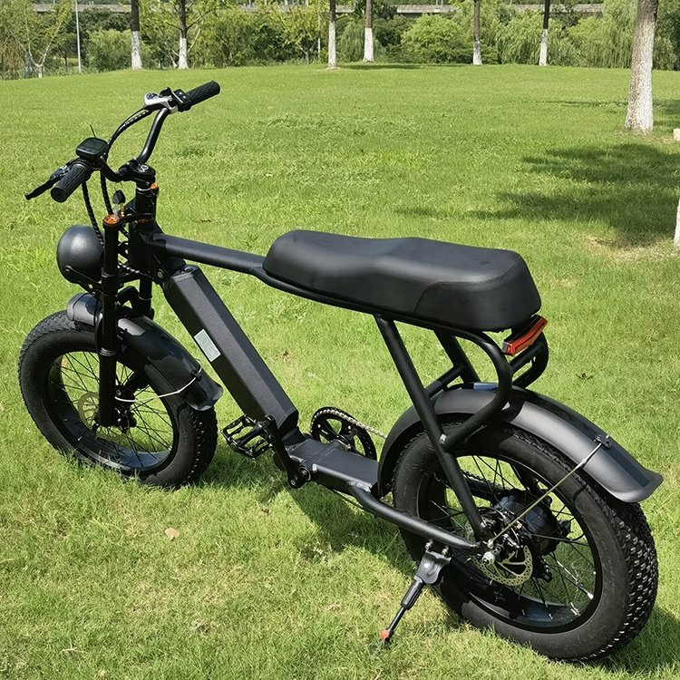 EU/US Wholesale 2023 OEM cheap full Suspension E-bike fat tire ebike electric mountain bike for adult smart city bicycle