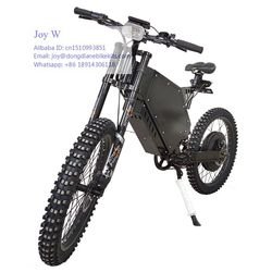 small fat 48v 1000w ebike with 15.6ah