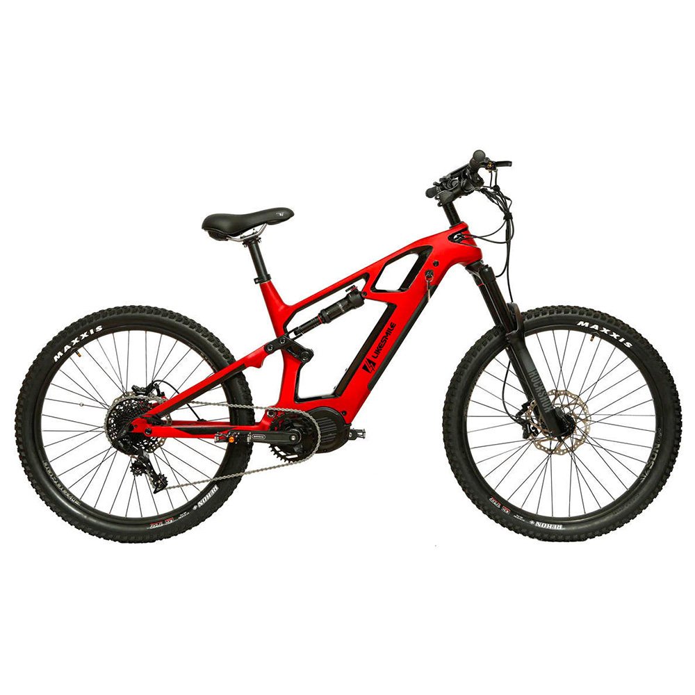 Likesmile High speed 1000W Electric bicycle 48v 30Ah electric mountain bike for hunting