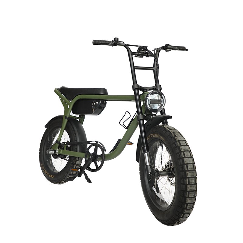 1000W Electric Mountain Bike 20-Inch Fat Tire E-Bike 250W Steel Frame Warehouse Ready Stock 25km/h 48V Fatbike