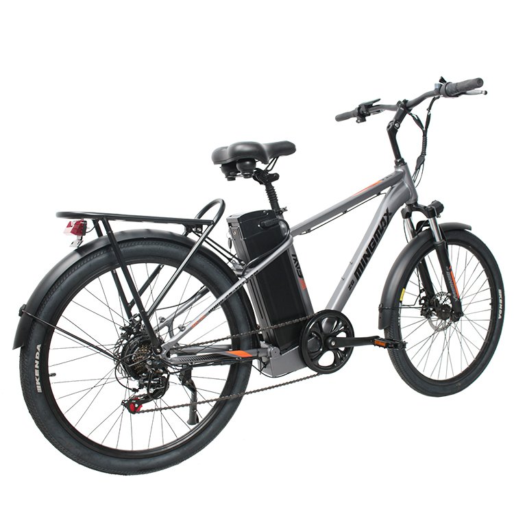 electric bikes for adults two wheels bike,electric High price electric mountain bike, Cheap price e bicycle electric bike