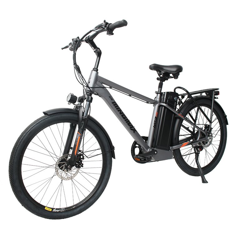 electric bikes for adults two wheels bike,electric High price electric mountain bike, Cheap price e bicycle electric bike