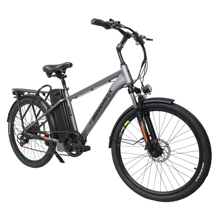 electric bikes for adults two wheels bike,electric High price electric mountain bike, Cheap price e bicycle electric bike