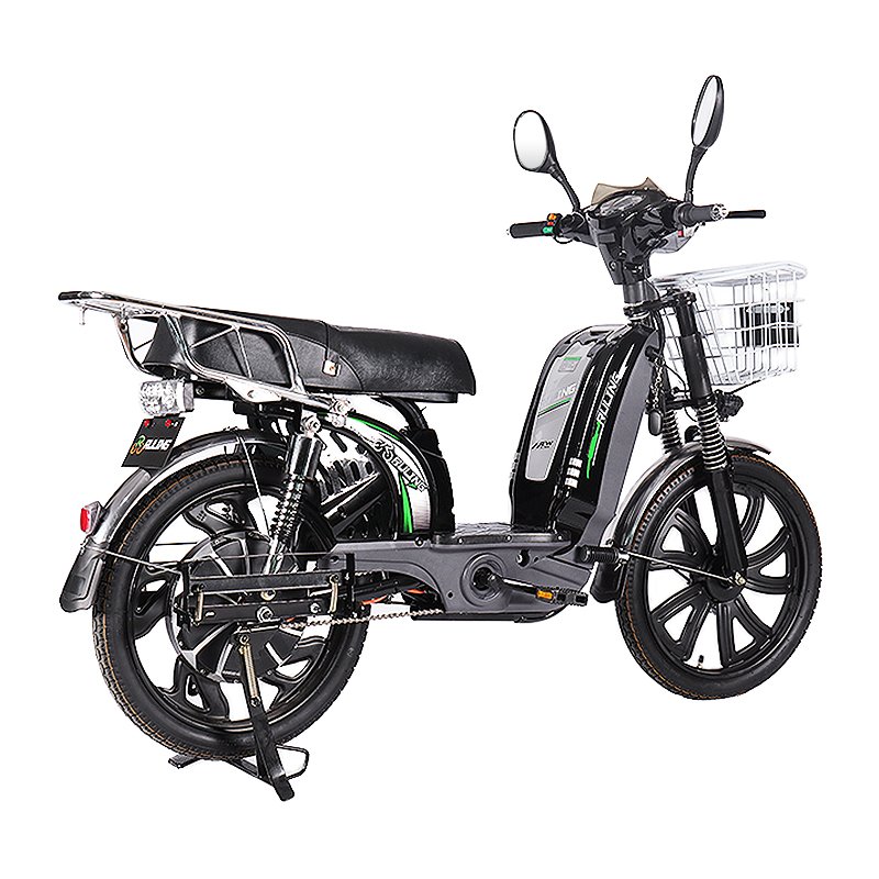Hot Selling Custom Color Long Battery Life 48V 600W Electric City Bike