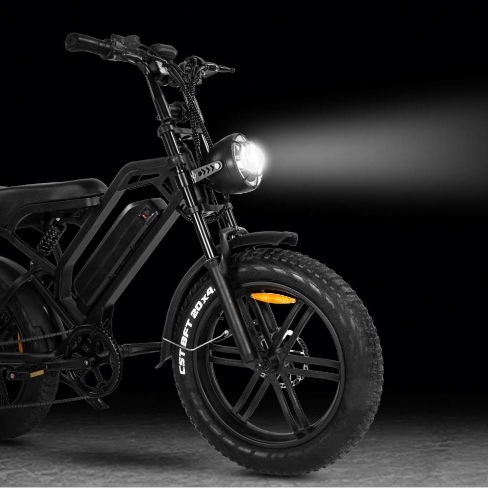 Eu Warehouse Electric Off Road Bike Cheap Electric Bike 1000w Fat Tire Mountain Bicycle 750w Electric Bike Chinese