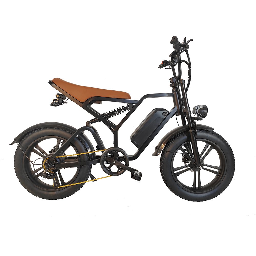 Factory Customization K12 Electric Bike Kit With Battery 250W 750W 1000W Mountain Bike 25km/h Bicycle Electric Bike