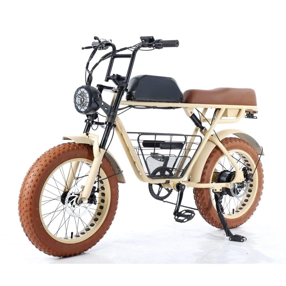 New arrival super 1000w 1500W 2000W 48V 73 lithium battery Hydraulic Disc Brake retro fat tire ebike electric mountain bike