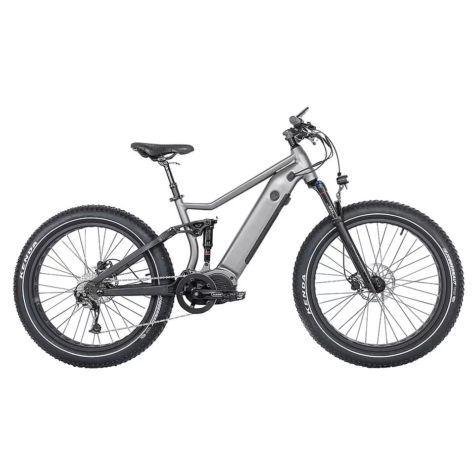 1000w 48v ebike 20 inches fat tire 7 speed beach mountain E-bike urban mid drive for commute E-bike fat tire e bike