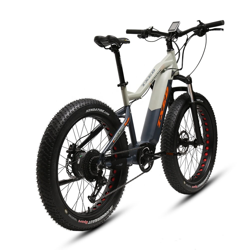 TXED Fat tire suspension 750w BAFANG electric mountain bike 9SPEED MTB ebike