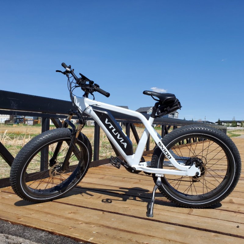 VTUVIA SN100 us eu 250W 750W 36V 48V Fat tire adult electric bike bicycle 14ah ebike for hunting from China Manufacturer