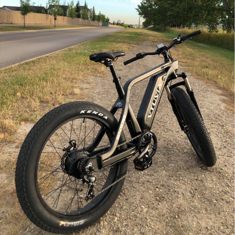 VTUVIA SN100 us eu 250W 750W 36V 48V Fat tire adult electric bike bicycle 14ah ebike for hunting from China Manufacturer