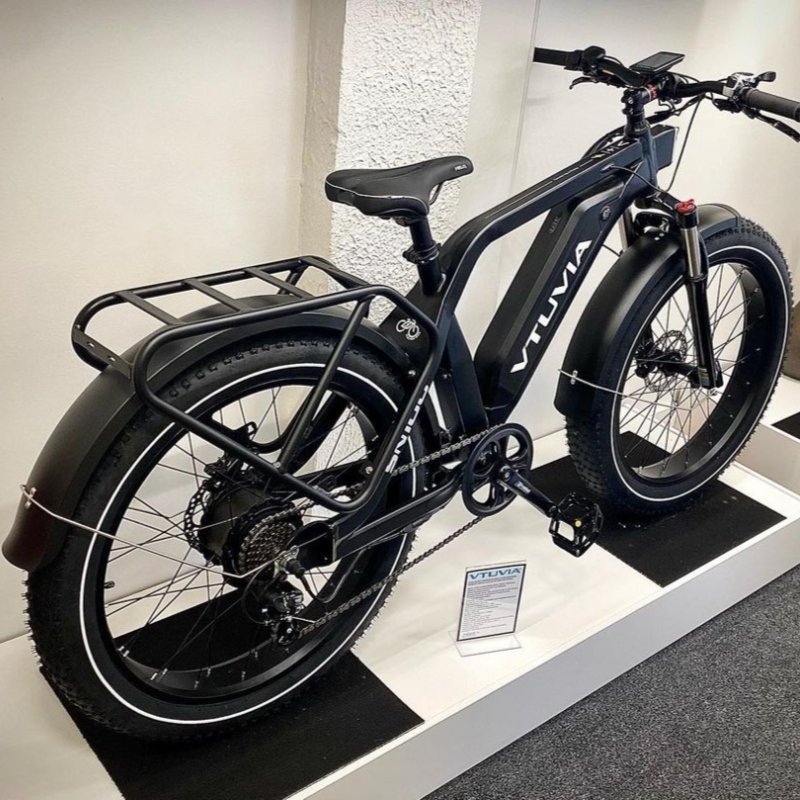 VTUVIA SN100 us eu 250W 750W 36V 48V Fat tire adult electric bike bicycle 14ah ebike for hunting from China Manufacturer