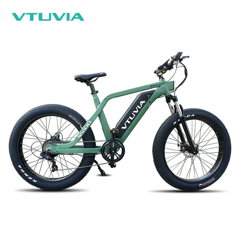 VTUVIA SN100 us eu 250W 750W 36V 48V Fat tire adult electric bike bicycle 14ah ebike for hunting from China Manufacturer