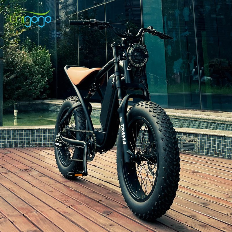 Electric City Bike 48v 32ah 20 Wheel Size Electric Mountain Bike Fat Tire E Bike 1000w Electric Hybrid Bicycle Lithium Battery