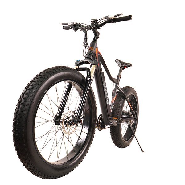 48V750W electric fat bike electric 24v mtb fat bicycle electric down hill mountain bike