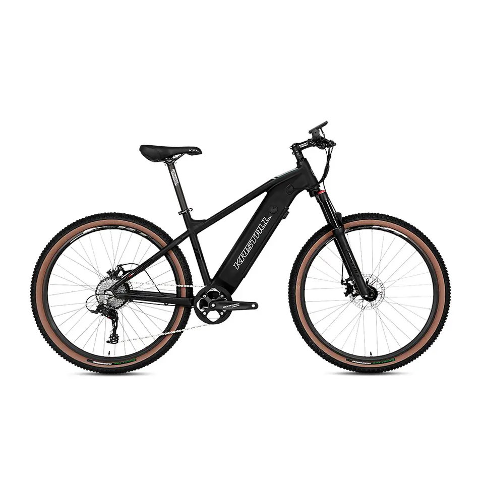 Twitter Ebike E300 Alu Alloy Electric Bikes MTB 36V 48V 350W Hub Motor Electric Mountain Bike with Removable Battery