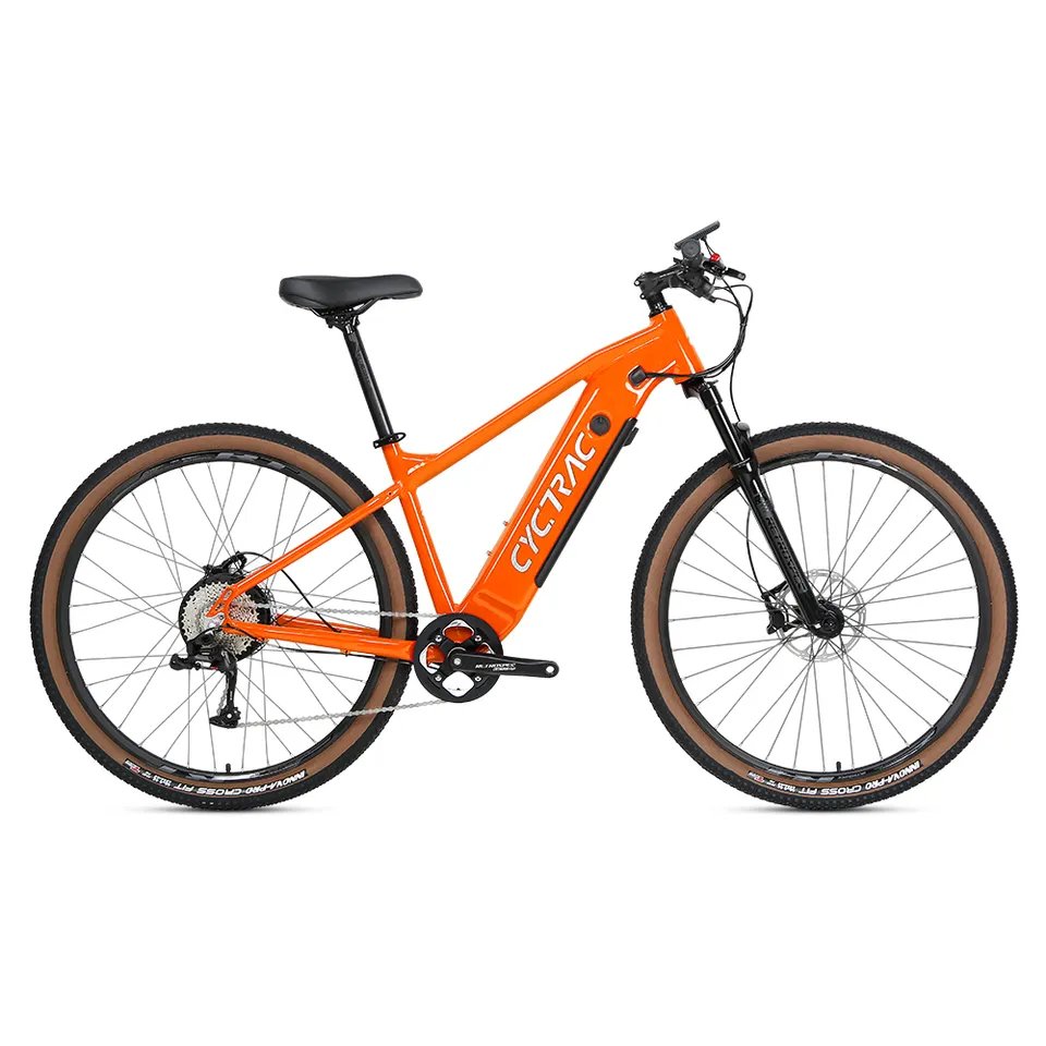 Twitter Ebike E300 Alu Alloy Electric Bikes MTB 36V 48V 350W Hub Motor Electric Mountain Bike with Removable Battery
