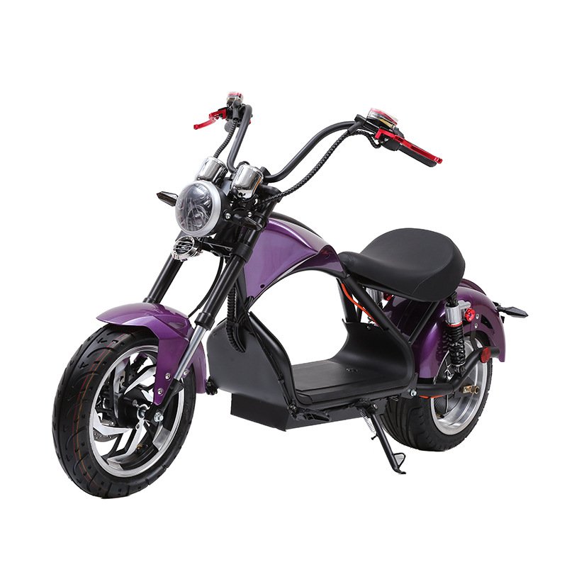 Electric Racing Motorcycle 35Ah 75Km/H GPS Tracker Moped E Motorcycle with EEC COC Electric Chopper