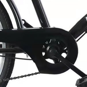 Excellent low MOQ 29 inch retro electric bike 750 watt electric city bike