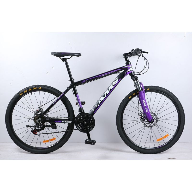 MTB bicycle 29-Inch Aluminum Frame Alloy rim 21-Speed Man Workout Disc Brake Woman Mountain bike