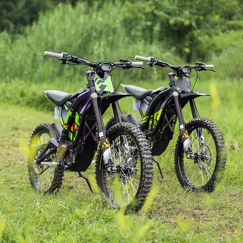 Easy rider dirt electric mountain bike 2 wheel drive bike for adult with hidden lithium battery 48V60V 3000 5000w