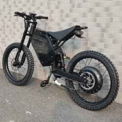 S1 bomber